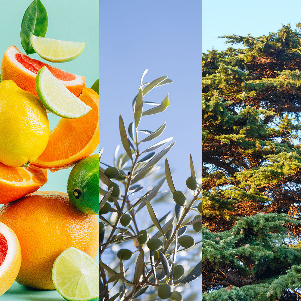 Hand Wash En Mains Propres 500ml