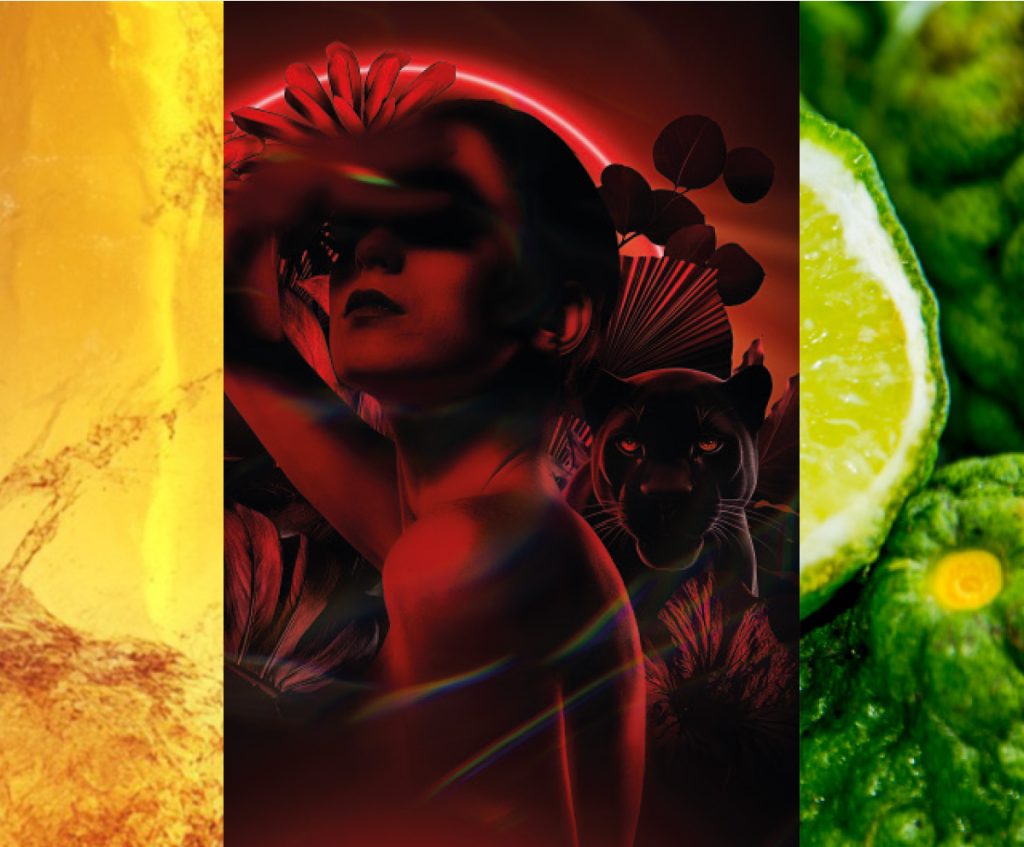 Volupté Noire Eau de Parfum