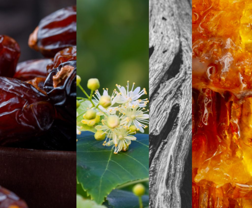 Volupté Noire Eau de Parfum