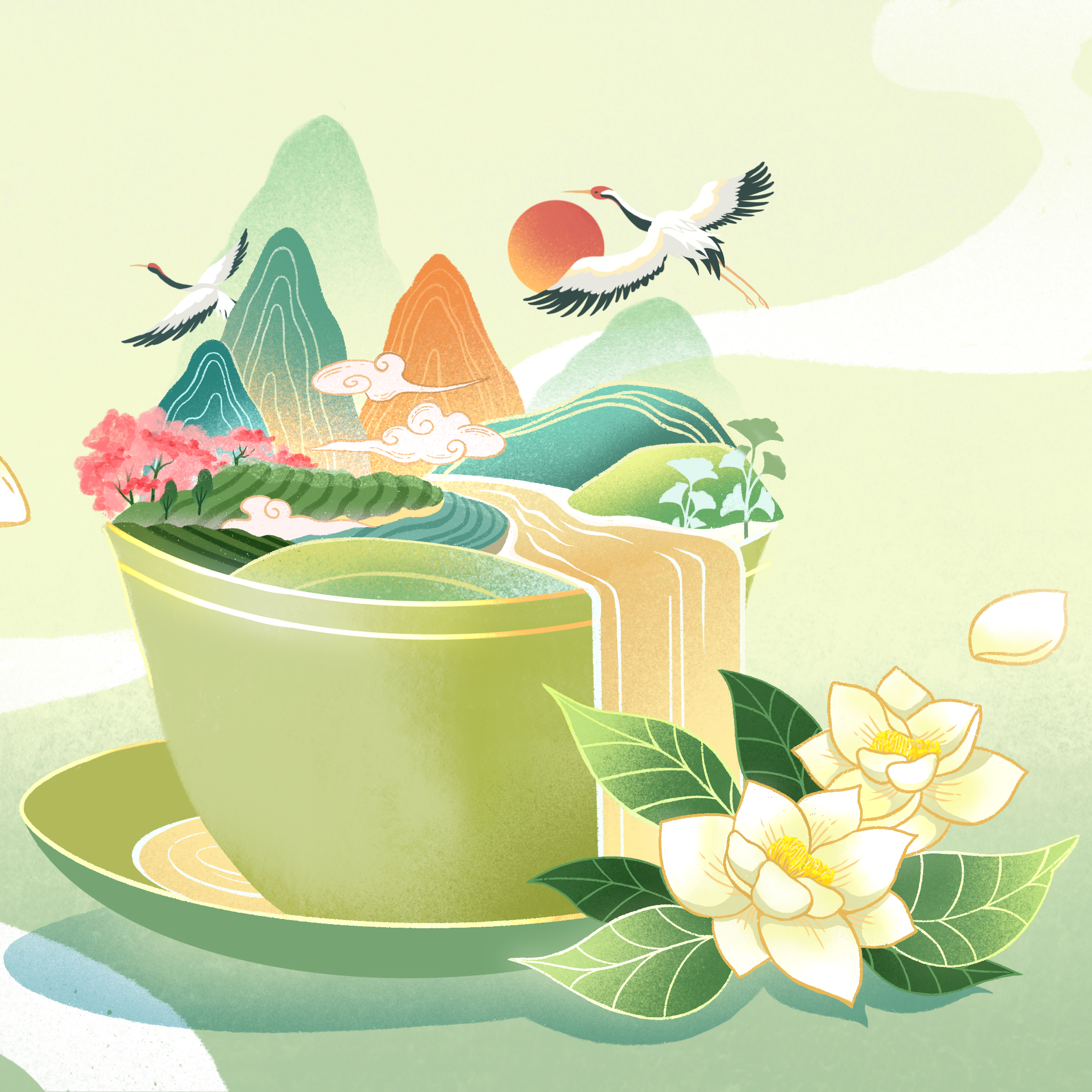 Pomelo Oolong smaržūdens 50ml