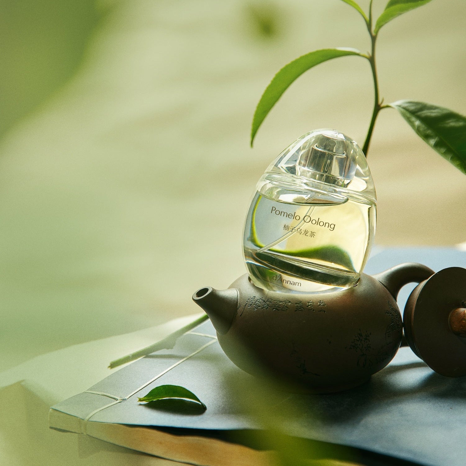 Pomelo Oolong smaržūdens 50ml